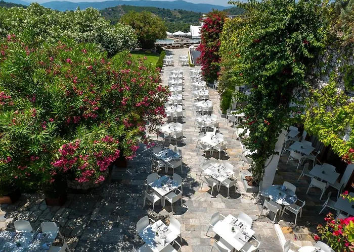 Skiathos Palace 4*