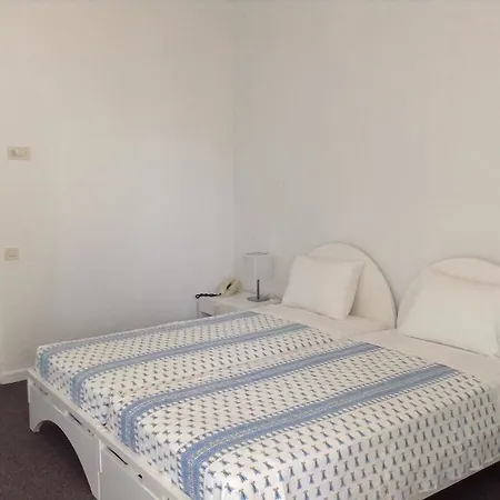 ホテル Skiathos Palace コウコウナリス